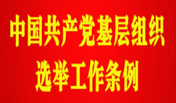 《中国共产党基层组织选举工作条例》